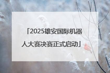 2025雄安国际机器人大赛决赛正式启动
